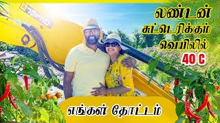 லண்டன் சுட்டெரிக்கும் வெயிலில் எங்கள் தோட்டம் | London hottest ever temperature as 40.2C| Tamil Vlog