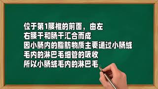 中西医百年之争——脾脏及其功能的探讨。中医治脾的优势在于整体认识和经验积累。西医的优势在于微细机构的研究成果。二者结合起来有益互补。