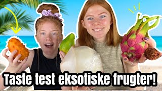 SMAGER PÅ EKSOTISKE FRUGTER! - Taste test med Holly //Emmes krea-verden//