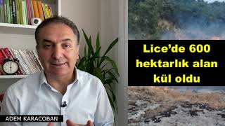 Lice'deki yangına her kes sessiz. Lice’de 600 hektarlık alan kül oldu