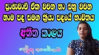 ප්‍රාණවාචී ඒක වචන හා බහු වචන නාම පද සමග ක්‍රියා පදයේ භාවිතය - අතීත කාලය