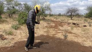 Direct seeding of an old charcoal kiln site in Kajiado.