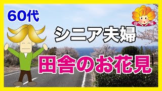 【60代YouTuber】シニア夫婦のお花見/田舎暮らしの春桜めぐり#シニアライフ#捨て活#片付け #シニアライフ#年金生活#夫婦二人暮らし