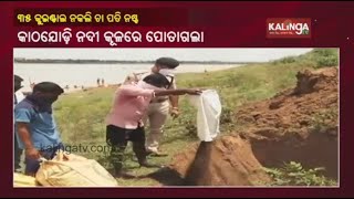 35 Quintal Seized Duplicate Tea Powder Destroyed In Cuttack || KalingaTV