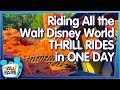 Is It Possible to Ride Every Thrill Ride at Walt Disney World in ONE DAY?!