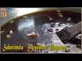 Sabarimala Aravana Payasam/ശബരിമല  അരവണ പായസം എങ്ങനെ  എളുപ്പത്തിൽ വീട്ടിലുണ്ടാക്കാം