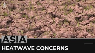 Asia heatwave: Dry spell rings alarm for rice production