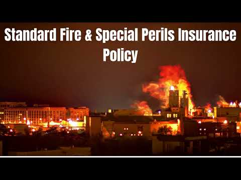 What does special perils mean in insurance?