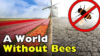 What Would Really Happen to the World if Bees Went Extinct? [ID0705]