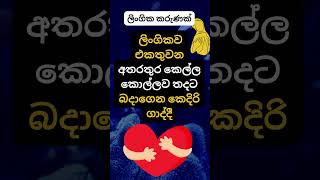 හම්බෝ ඇයි දන්නවද එයාලා එහෙම කරන්නේ 😍😍. #psychology  #education #shorts