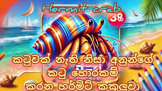 ගෙවල් හොරකම් කරන හර්මිට් කකුලුවා