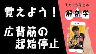 覚えよう!広背筋の起始停止 筋肉リズム暗記