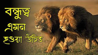 বন্ধুত্ব এমন হওয়া উচিত | Motivational Story #Shorts