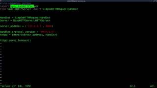 Setup a Webserver with Python Linux Tutorials clip22