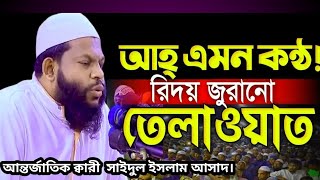 আহ্ এমন কন্ঠ! রিদয় জুরানো তেলাওয়াত। আন্তর্জাতিক ক্বারী সাইদুল ইসলাম আসাদ।