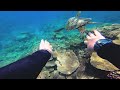 Lady Musgrave Island Day Tour & Sleep On The Reef Pontoon