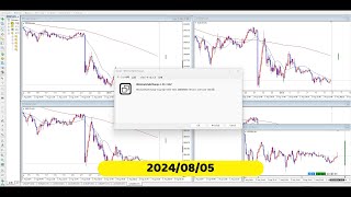 【RCCで振り返る】2024年08月05日対円の4通貨ペア