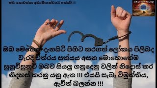 සත්‍යය සොයායන තවත් පිරිසකට මෙතෙක් නොඇසූ තමාගේ (මගේ) ජීවිත කතාව පිලිබද විග්‍රහය - 2024/02/11 සාකච්ඡාව