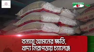 বন্যায় আমনের ক্ষতি, খাদ্য নিরাপত্তায় চ্যালেঞ্জ