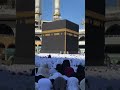 Tasbih | Ayisha Abdul Basith #shorts #naat #naatstatus #viral #hajj #makkah #arslanalivlogs #reels