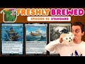 ☕ Freshly Brewed: Episode 43 - ☕ - ⚪🔵⚫ - Blinky Boat 🚢 (Standard)