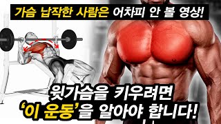 일반인이 '윗가슴'과 '가슴근육'을 동시에 키우는 가장 빠른 방법!?