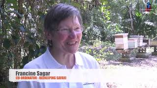 TOBAGO NOTES Beekeeping Safari in Tobago