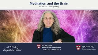 Meditation and the Brain