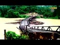 Meghalaya Flood: Wooden bridge over Ruga river in Garo hills washed away by floodwater