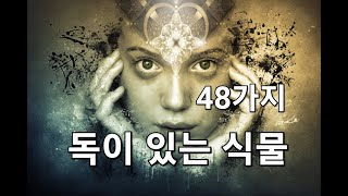 독이 있는 식물 48가지. 독있는 식물. 독초 .정보채널. 토막상식. 일반상식. 상식채널. 숨겨진 뒷이야기. 재미있는 이야기. 무서운이야기. [속삭이는별] 전설.미스터리.마법.