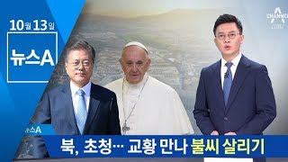 北 초청 의사 전달…교황 만나 불씨 살리기 | 뉴스A