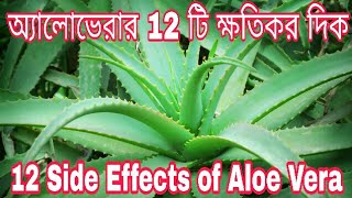 অ্যালোভেরার 12টি ক্ষতিকর দিক || 12 Side Effects of Aloe Vera ||