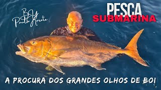 🔱PESCASUB | SPEARFISHING🔱- A Procura dos Grandes Olhos de Boi