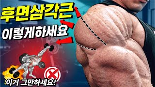 [후면삼각근] 제대로 하는 '후면어깨' 운동 딱 '네 가지' 알려드립니다! (머신 리어 델트 플라이, 벤트 오버 레터럴 레이즈 비추천하는 이유)