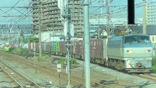 JR貨物EF66形100番台131号機＋コキ23B（両）と大船〜藤沢駅間ですれ違いするシーン（66レ・吹A6・コンテナ輸送）2023.7.9