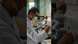 Section cutting process in histopathology lab