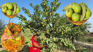 Guava Recipe अमरूद की ऐसी लाजवाब रेसिपी देखकर दंग रह जायेगे | Guava Achar Recipe in hindi