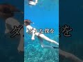 レンボンガン島ツアー　 レンボンガン島 インスタ映え travel baliisland バリ恋ツアー 卒業旅行 卒業旅行 日本語ガイド ハネムーン 新婚旅行