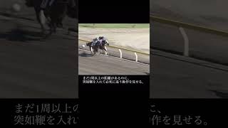 信じられないミス②#shorts#競馬#珍事