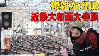 線路の分岐が複雑な近鉄大和西大寺駅に行ってきた。