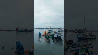 vellayil harbour,,,,, Kozhikode