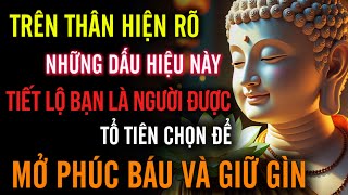 Vì Sao Có Người Được Tổ Tiên Phù Hộ, Có Người Thì Không? Sự Thật Khiến Ai Cũng Giật Mình !!!