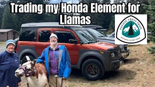 From living in my Honda camper to Backpacking the  PCT trail with Llamas