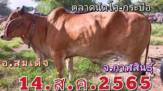 ปิดท้ายราคาวัววันนี้ตลาดนัด อ.สมเด็จ จ.กาฬสินธุ์ 14/ส.ค./65มาชมกันครับ