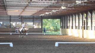 First Time - USDF Intro Level Test A