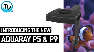 AQUARAYS ARE BACK - Introducing the new P5 \u0026 P9