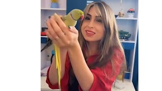 فرحة عائلة ريتشو و ننوش دخل ببغاء بجنن إلى الفيلا 😍 الببغاء نقر أمي 🤣المخرج الشمالي نوع الببغاء غالي