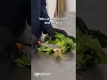 How to Harvest Greens | ZipGrow