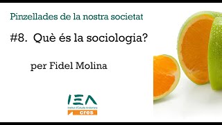 #8. Què és la sociologia?, per Fidel Molina.