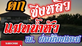 EP.14 #ตกชิงหลิว น้ำหัว ที่บ่อตกปลาน้องแอม โบ้ๆ รอดยาก...